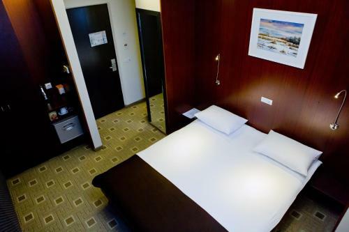 Business Hotel Olsi