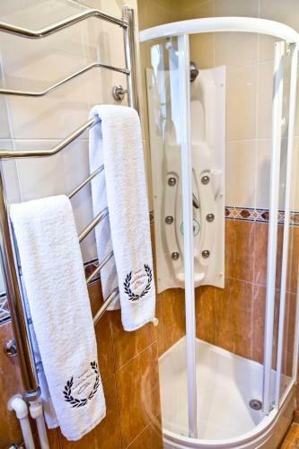 Business Hotel Olsi