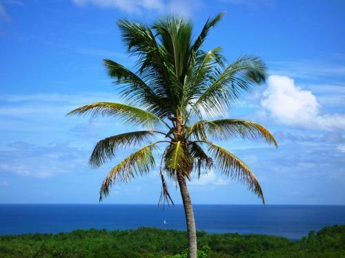 Apartamento Domaine De L'anse Ramier
