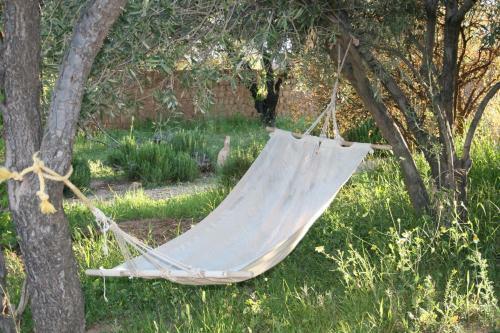 Bed & Breakfast Ecolodge Amskou