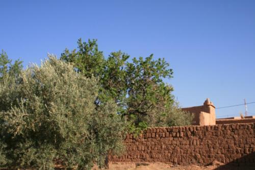 Bed & Breakfast Ecolodge Amskou