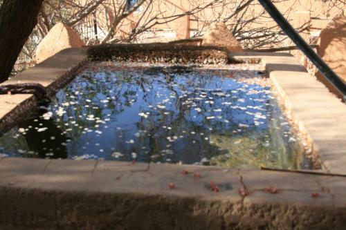 Bed & Breakfast Ecolodge Amskou