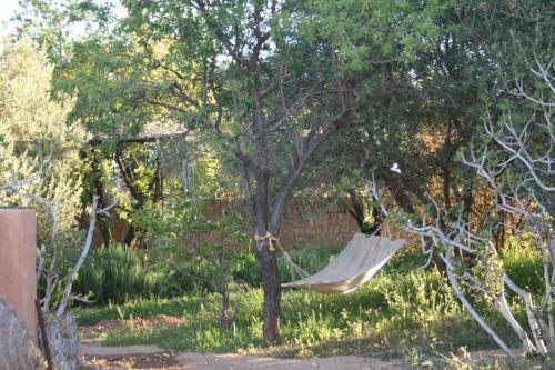 Bed & Breakfast Ecolodge Amskou