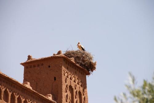 Bed & Breakfast Ecolodge Amskou