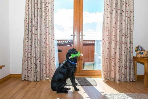 Barn Lodge With Hot Tub Near Cupar Fife