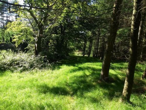 Ailsa New Luxury Lodge 15 Mins From The Beach