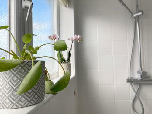 Pebble Cottage - A Few Mins To The Beach
