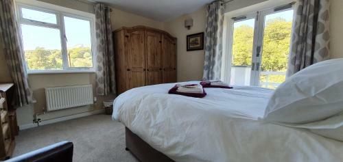 Hotel Plas Penaeldroch Manor