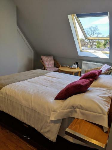 Hostal Falcon Crest Guest House