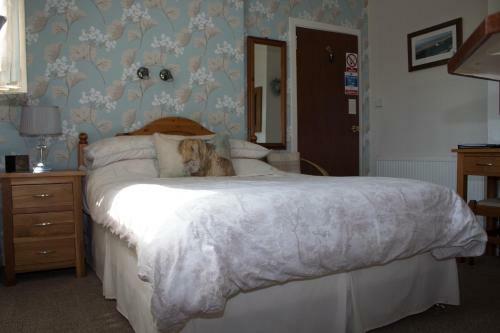 Hostal Whitecroft B&B