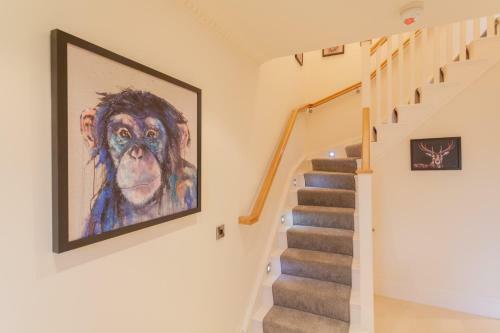 Lough Erne Apartments