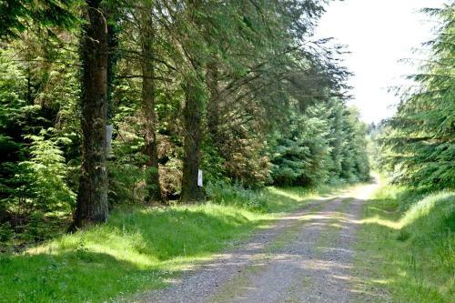 Haldon Forest Lodge, Exeter