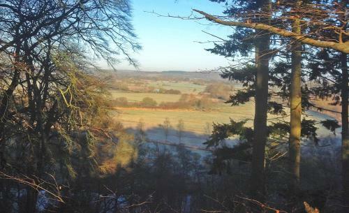 Mews Hill, 5 Bedroom New Forest Holiday Cottage