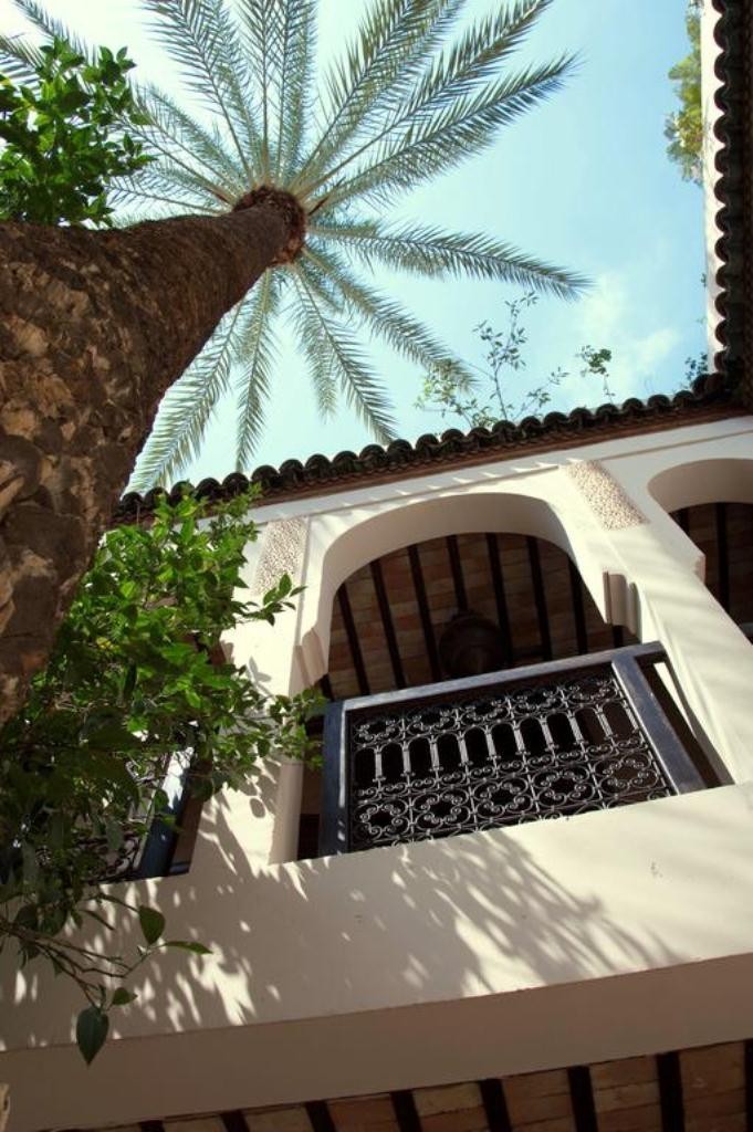 Riad Palmier