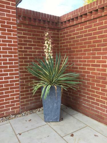 Charming 1-bed Apartment Near Hailsham