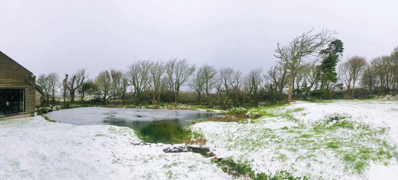 Downe Cottages