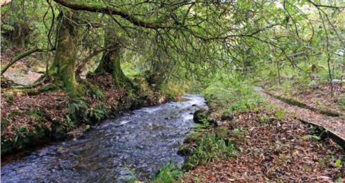 Mill End - Watermill Cottage Set In 30 Acres