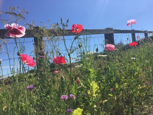 Islay Westcote Glamping