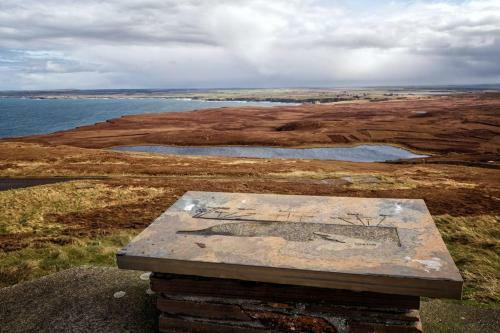 Hostal Viewpoint Guesthouse