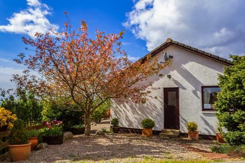 Hostal Viewpoint Guesthouse