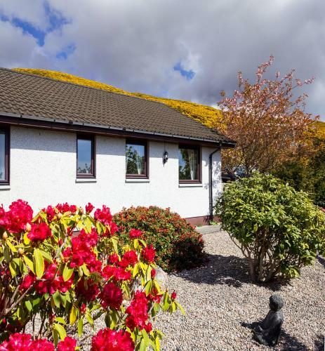 Hostal Viewpoint Guesthouse