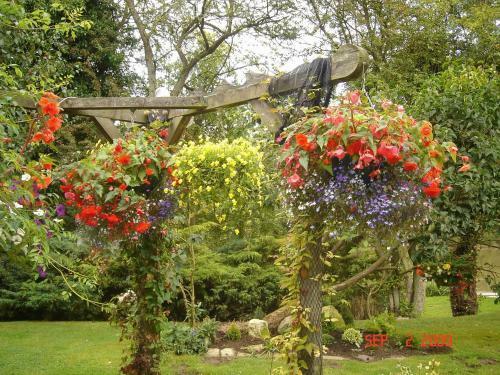 The Willows Bed & Breakfast
