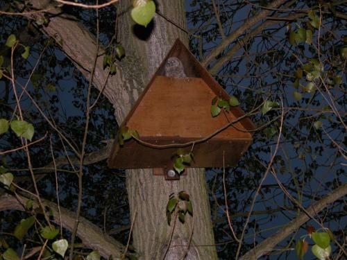 The Willows Bed & Breakfast