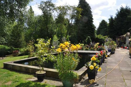The Willows Bed & Breakfast