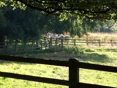 Bed & Breakfast Grange Farm B & B