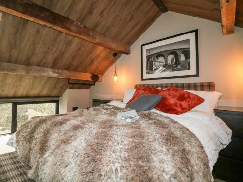 The Cosy