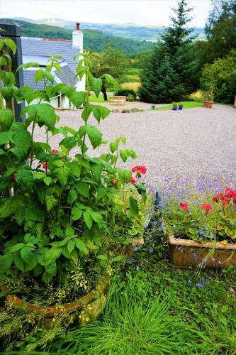 Bed & Breakfast Lundie View B & B