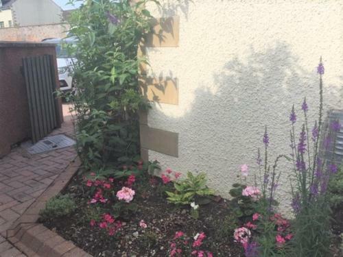 Wellingtonia Court Apartment