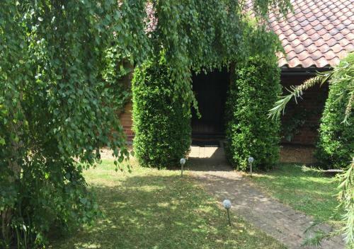 Vine Cottage