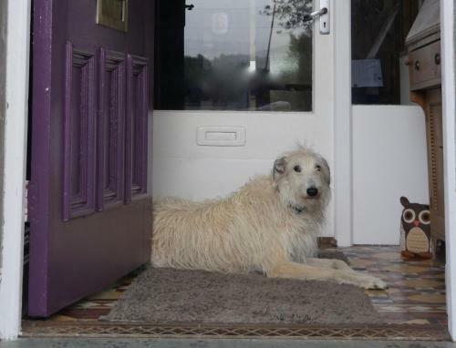 Bed & Breakfast Lane Rigg