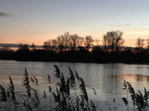 Lodge Woodlakes Park