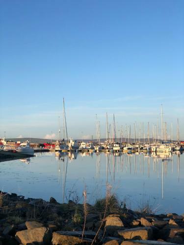 Charming 1-bed Apartment In Kirkwall