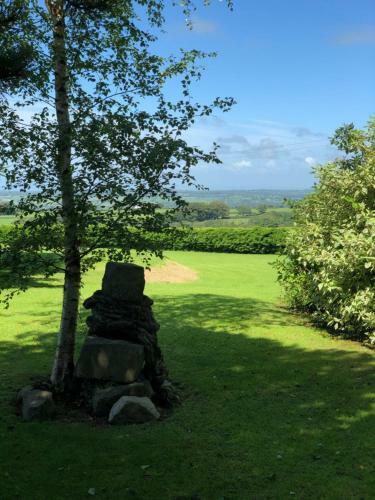 The Beehive Wales