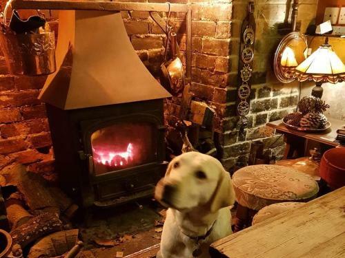 Bed & Breakfast The Oak Inn Staplow