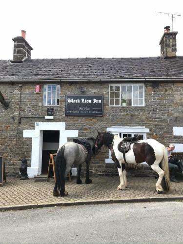 Bed & Breakfast Black Lion Inn