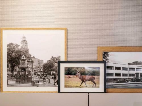 Aparthotel Adagio Leicester