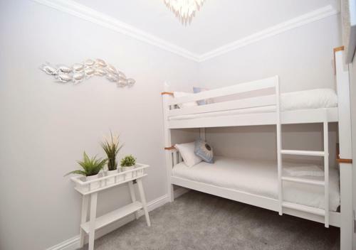 Twenty Three B - 3 Bedroomed Apartment