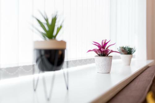 Air Host And Stay - Gresham House, Great Value Sleeps 8, Close To Liverpool City Centre