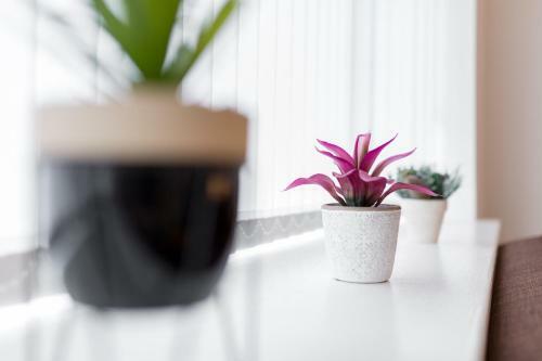 Air Host And Stay - Gresham House, Great Value Sleeps 8, Close To Liverpool City Centre