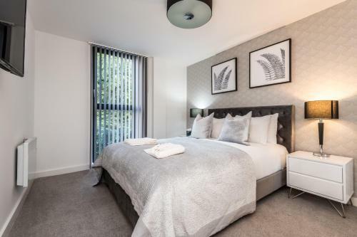 Luxury Apt With Free Parking