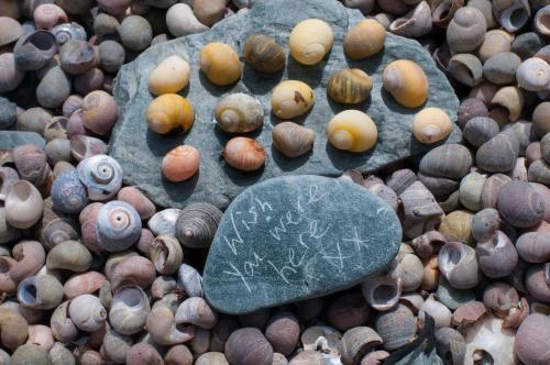 Apartamento Ocean House - Pebbles