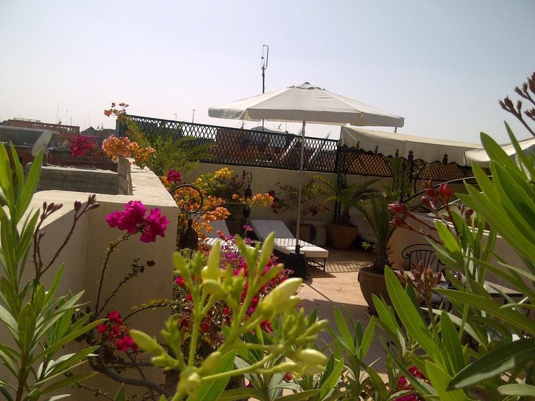 Riad Irene