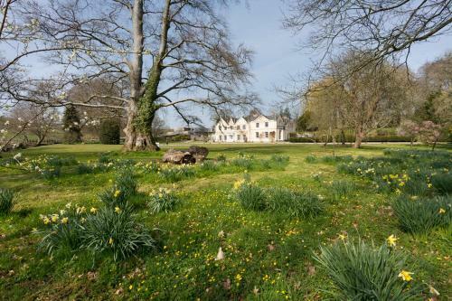 Llyswen Chateau Sleeps 18 With Wifi