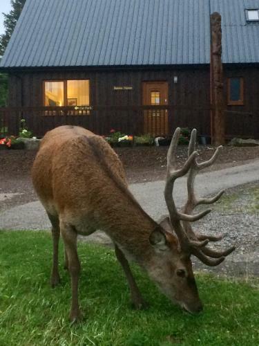 Bed & Breakfast Bonnie Haven