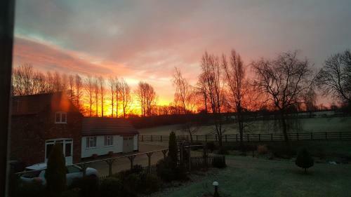 The Beeches B&B