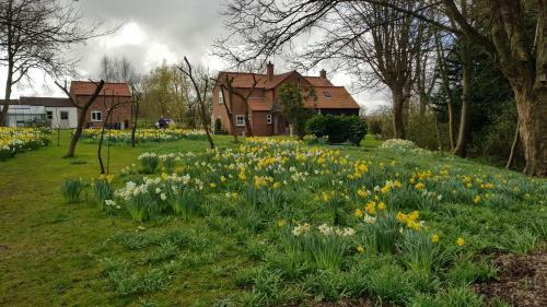 The Beeches B&B
